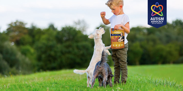 A boy in a grassy field, feeding two terriers Ernie Els Chicken Jerky dog treats